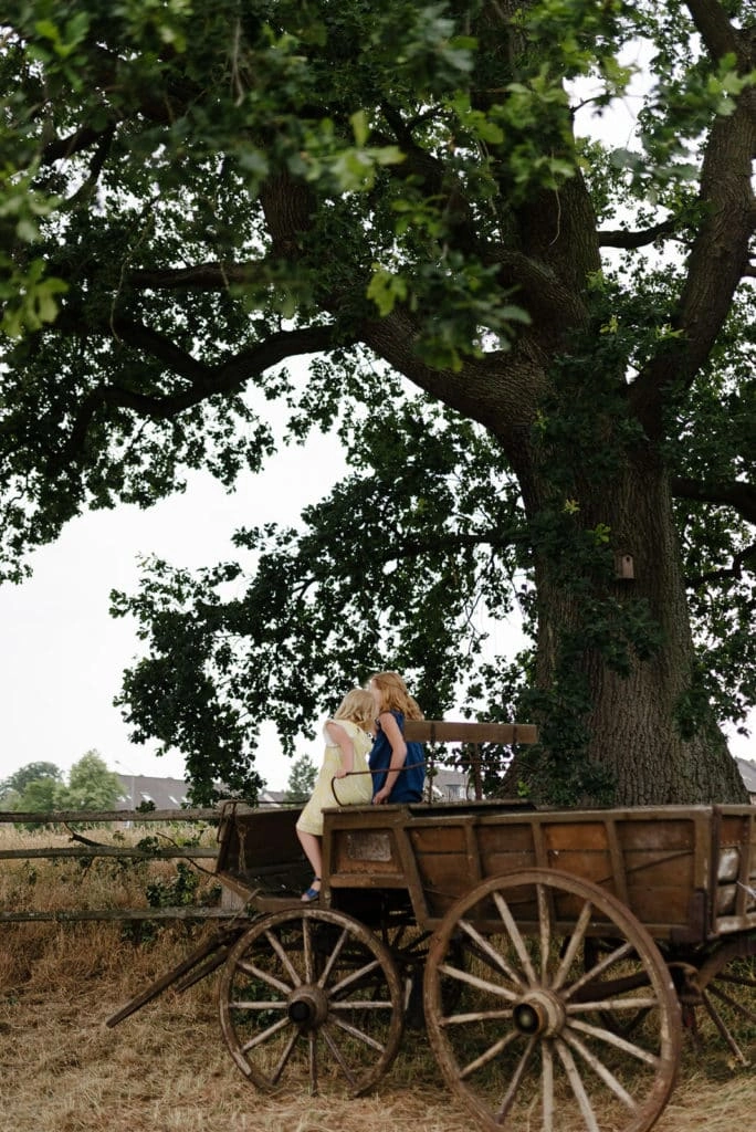Brautpaar sitzt auf einem Holzwagen unter einem Baum.