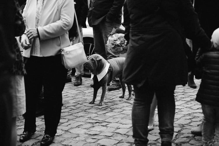 Gäste mit Hund im Innenhof, in Schwarz-Weiß.
