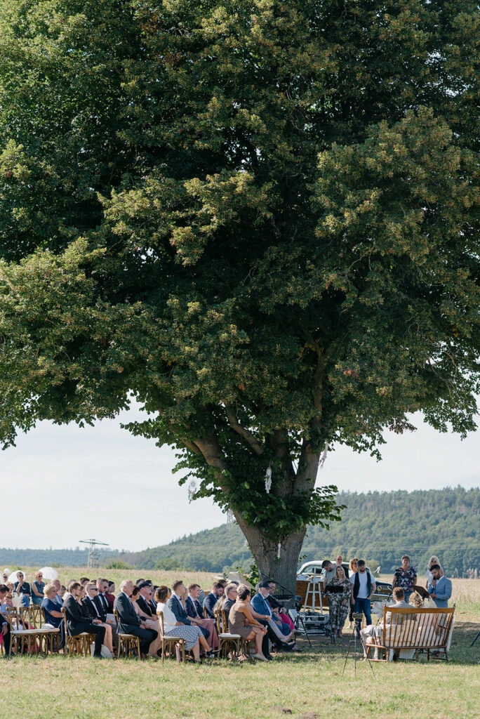 Hochzeitsgesellschaft versammelt sich unter einem großen Baum.