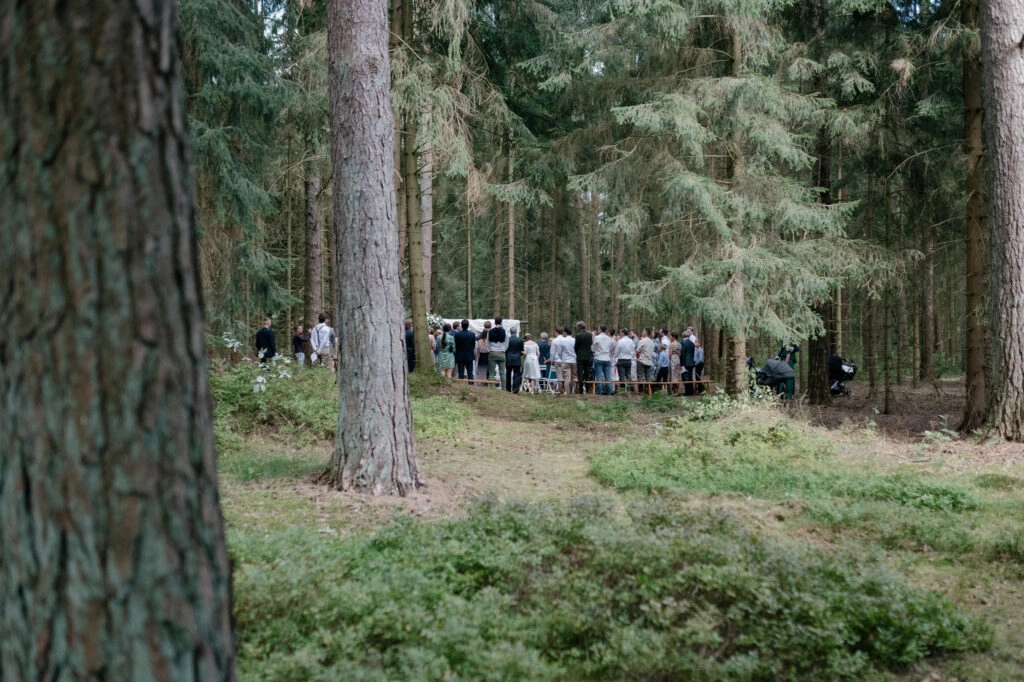 Hochzeitsgesellschaft bei einer Trauung zwischen Waldbäumen.