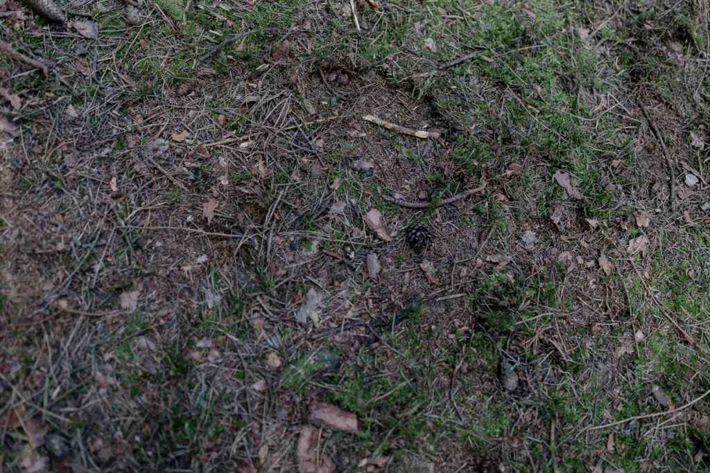 Herz aus kleinen Zweigen auf dem Waldboden.