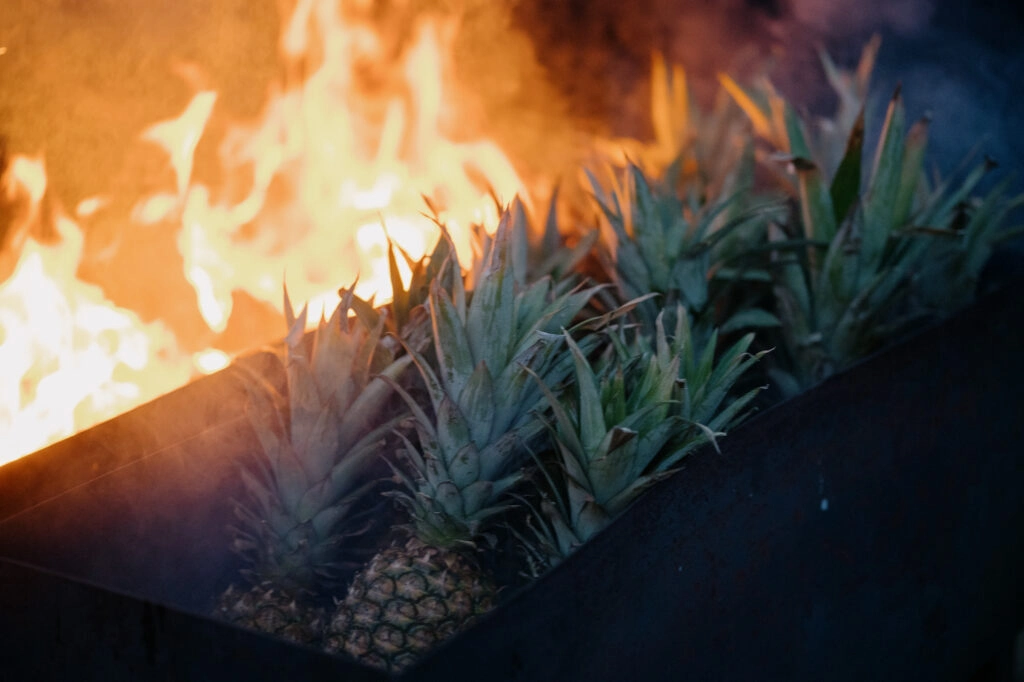 Ananasfrüchte neben einer offenen Flamme.