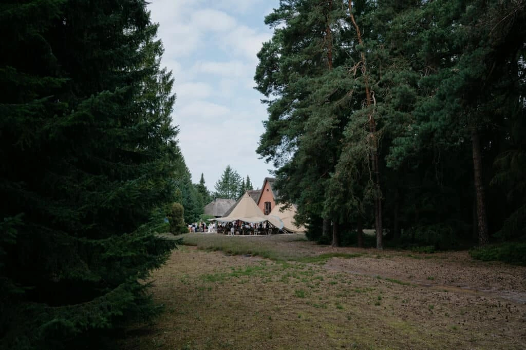Schneise durch den Wald mit Häusern im Hintergrund.