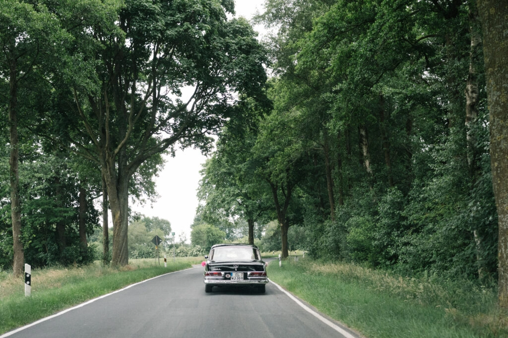 Hochzeitsauto fährt auf einer baumgesäumten Straße.