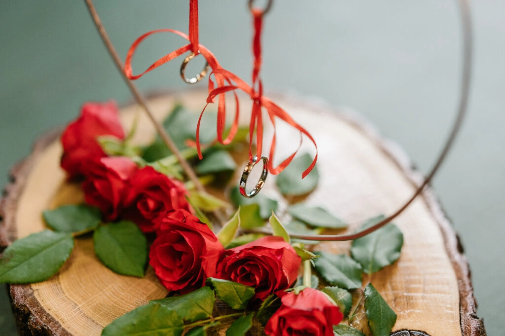 Rote Rosen schmücken eine Baumscheibe.