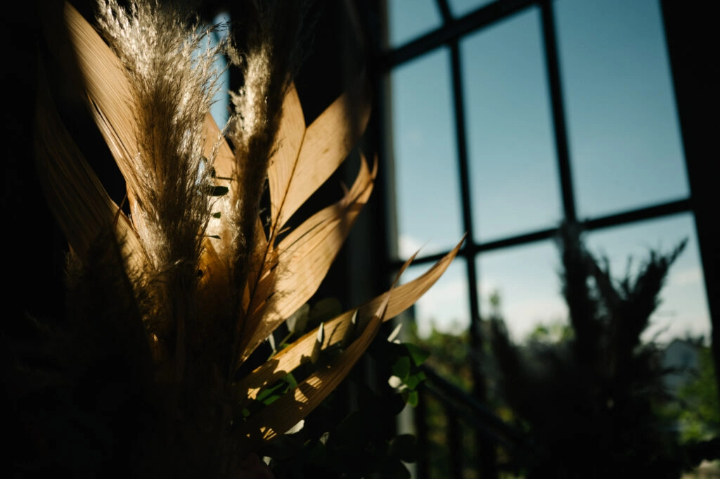 Trockenblumen im Sonnenlicht vor einem Fenster.