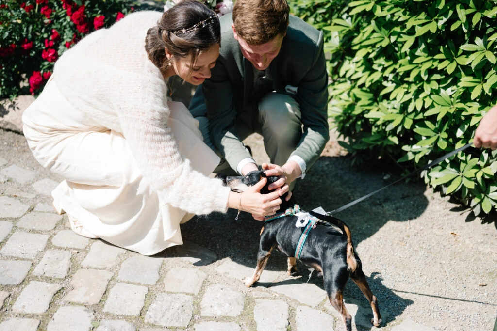 Brautpaar streichelt gemeinsam einen kleinen Hund.