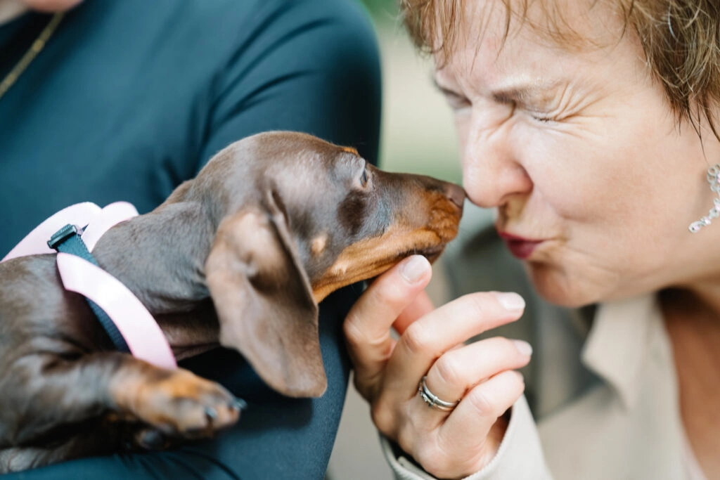 Gast küsst einen Dackel auf die Schnauze.