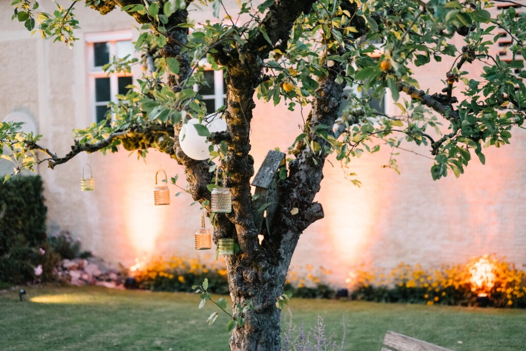 Beleuchtete Hausfassade hinter einem Obstbaum.